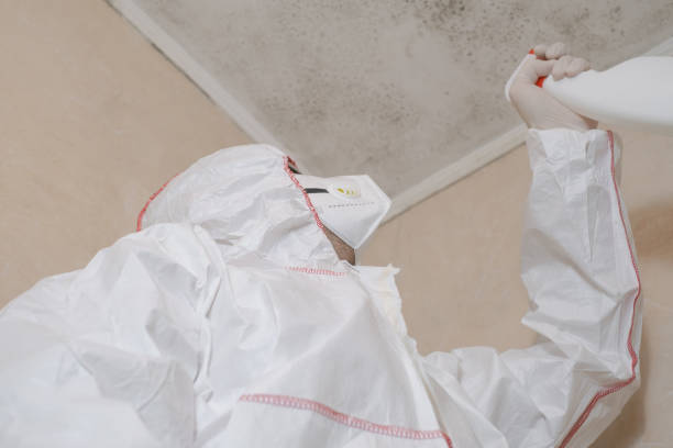 Best Mold Testing  in Colville, WA