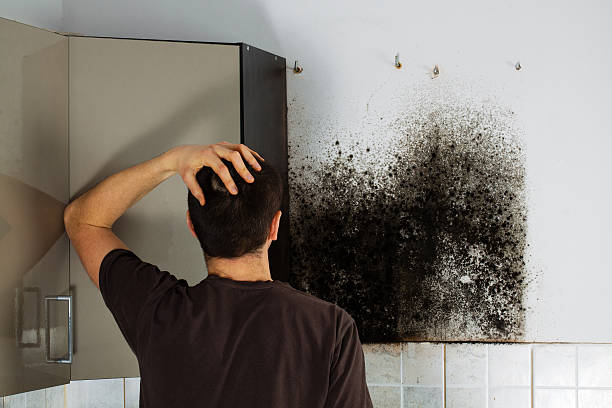 Best Crawl Space Mold Removal  in Colville, WA
